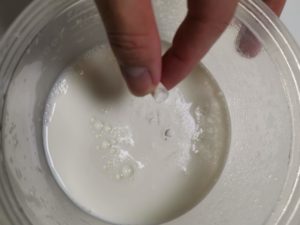 牛乳を半分まで容器に入れ、乳酸菌カプセルの中身を入れます